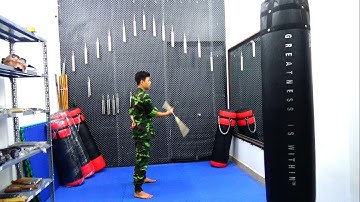 Tự luyện côn nhị khúc 06 : Hướng dẫn loan côn cơ bản hỗ trợ tập luyện . shopdai.us