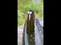 "Husband support is very important" #emotionalvibes #viral #likes #youtubeshorts #shortvideo