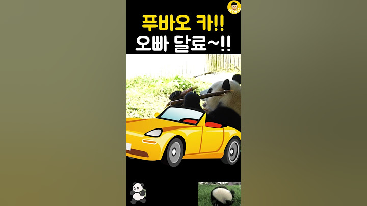 오빠 차 뽑았다~!푸바오 널 데리러 가~!! #판다 #panda #fubao #푸바오