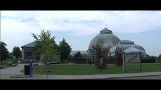 A Detroit Gem: Belle Isle's Anna Whitcomb Conservatory raising funds for upgrades