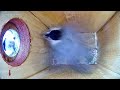 BirdCam 20230506