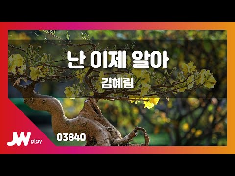 [JW노래방] 난 이제 알아 / 김혜림 / JW Karaoke
