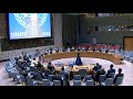 Выступление А.М.Евстигнеевой на заседании СБ по ситуации в Сомали