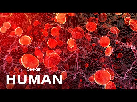 Video: Why Do We Have Different Blood Types? - Alternative View