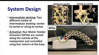 DexTeR: Dexterous ContinuumTensegrity Manipulator
