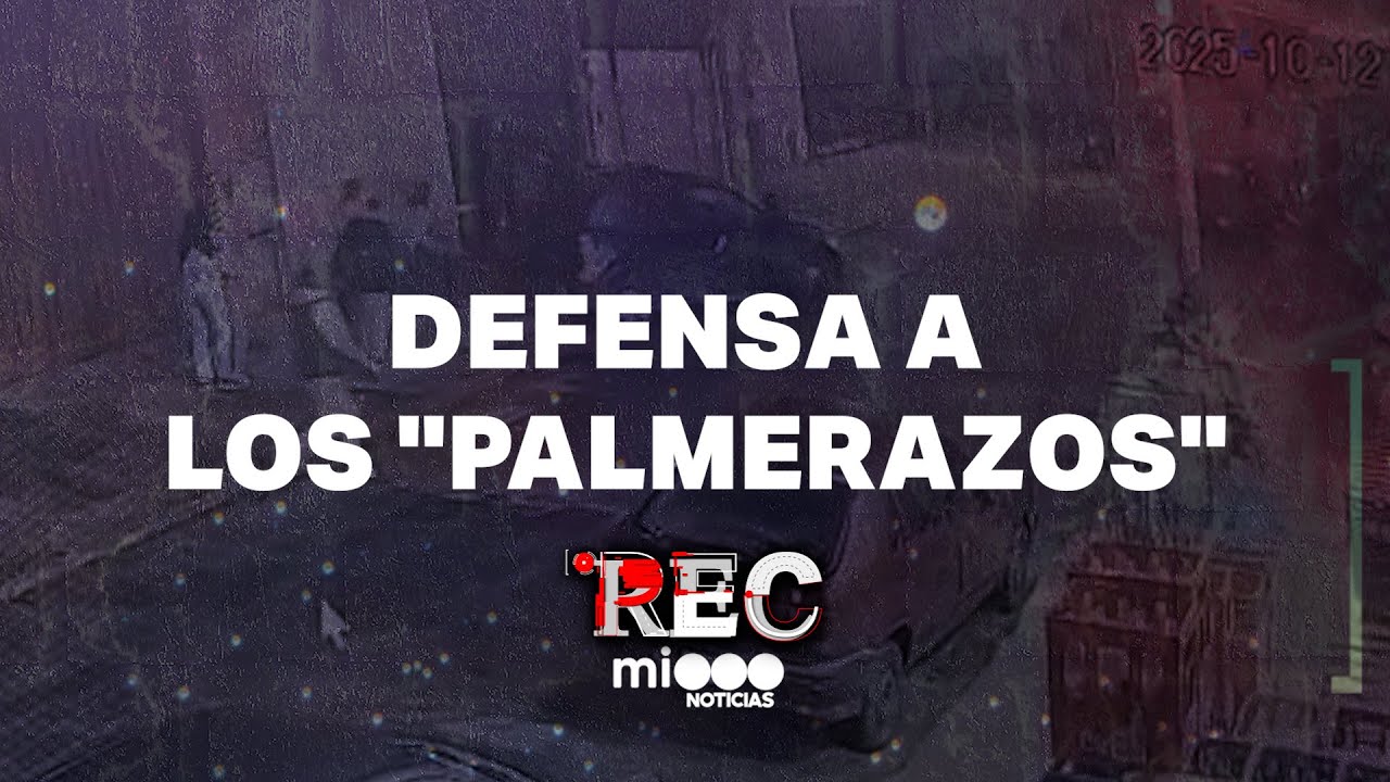 DEFENSA a los PALMERAZOS - #REC 🚨