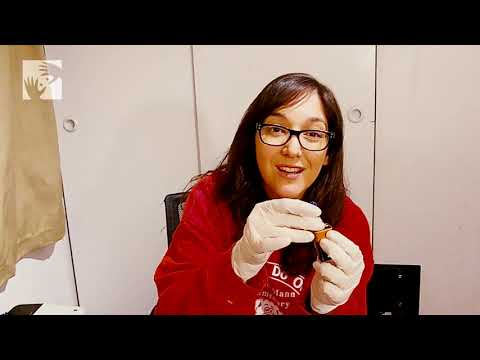 ¿Qué hay dentro de un televisor LED y cómo funciona?