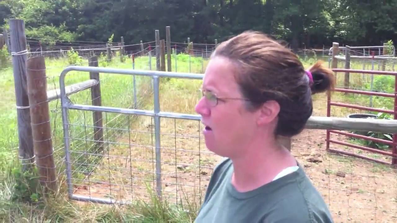 Jimmy & Christine Moore Visit Live Oak Farms In Woodruff, South Carolina (Part 1)