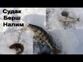 ДЕНЬ БЕРША. ОТЧЕТ О РЫБАЛКЕ ЗА 26.02.2023.