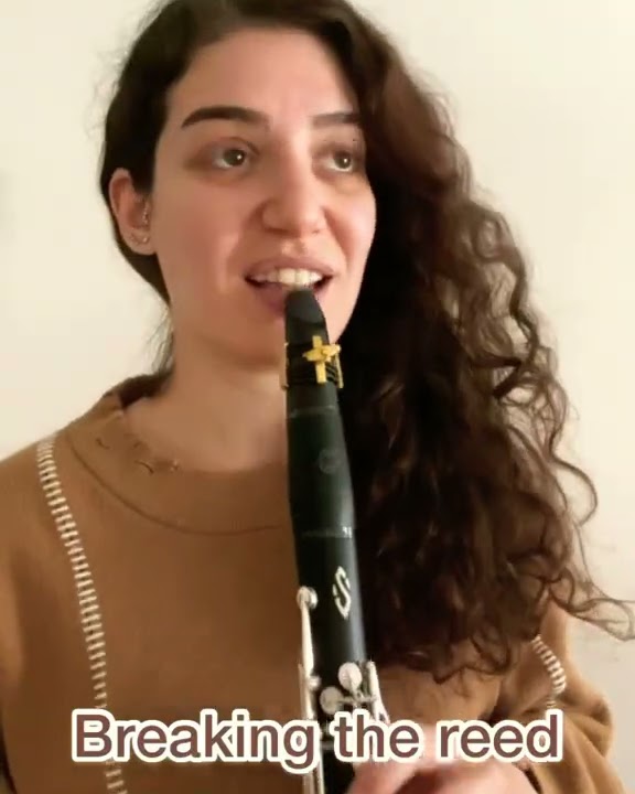 Clarinet Problems 101 - Selin Gürol