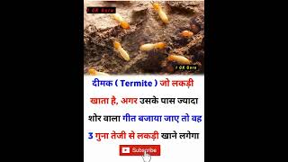 Most Brilliant Answers Of Upsc