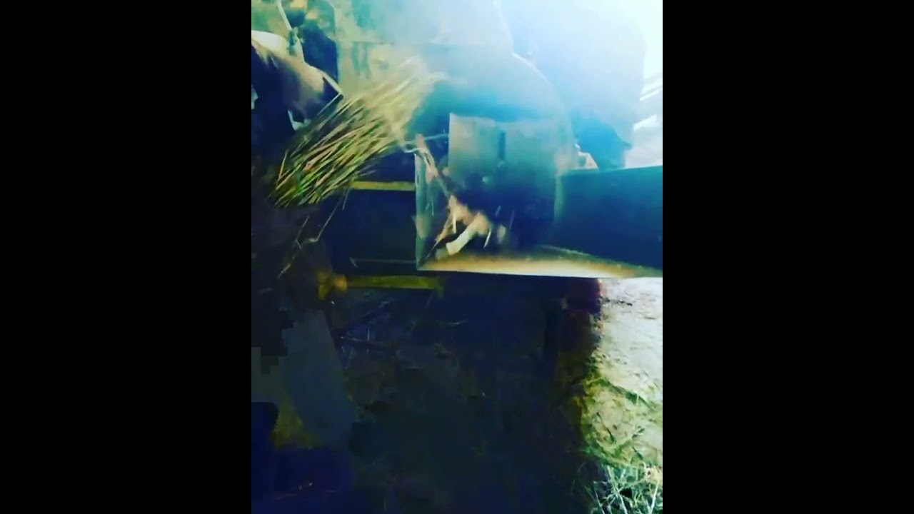 Shredding Hemp Stalks for Building Materials✨👌