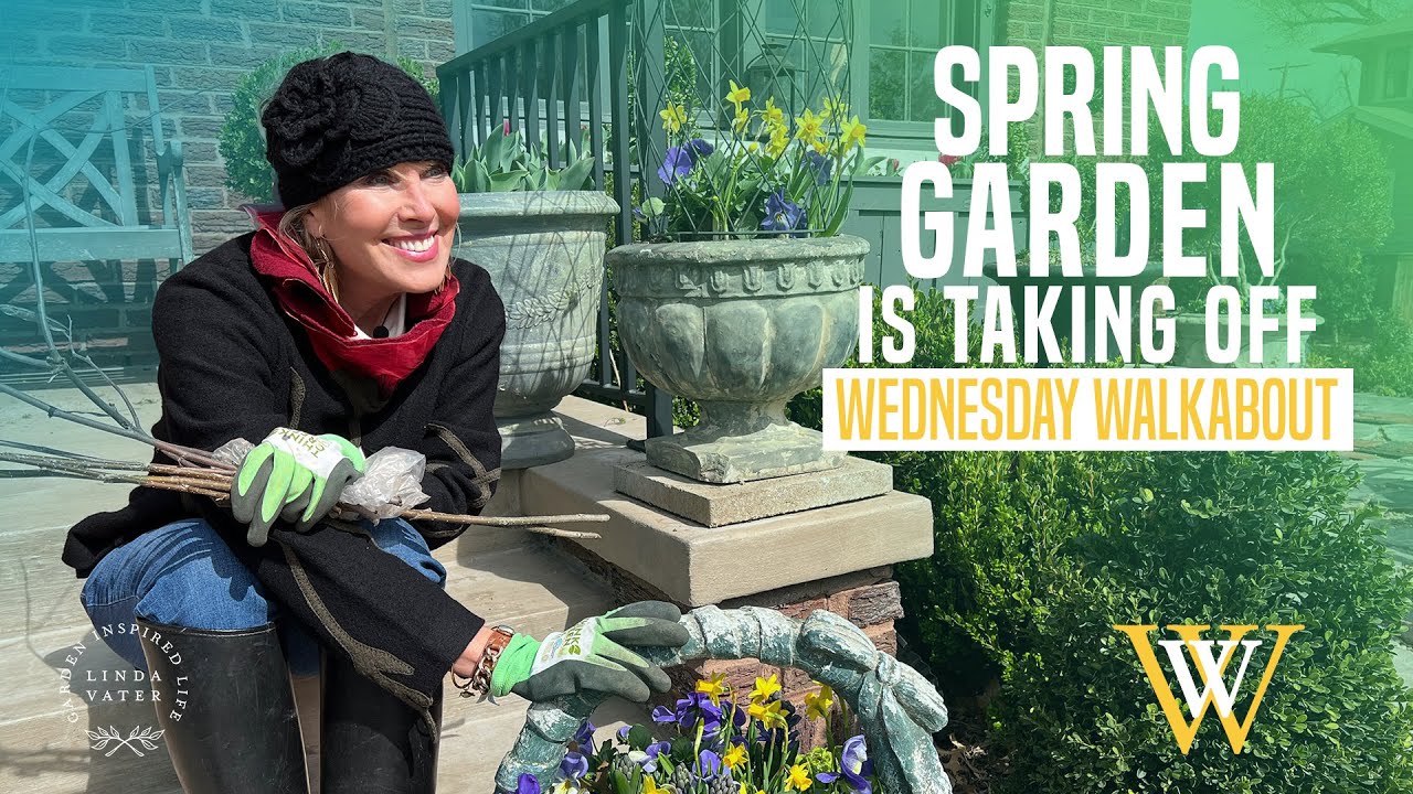 Here it comes! Front spring garden is beginning to take off