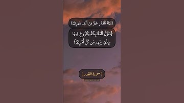 سورة القدر بصوت الشيخ محمد صديق المنشاوي