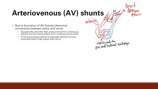 Arteriovenous Shunts Cardiovascular System Step 1 Simplified