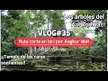VLOG#35. Continuamos nuestra ruta por Angkor Wat, Siem Reap. Viaje Asia 2022