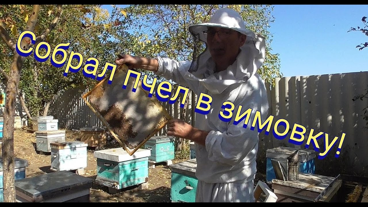 Как собрать гнездо пчел в десятирамочном улье на зиму - YouTube