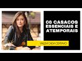 06 CASACOS ESSENCIAIS E ATEMPORAIS | Vitória Portes