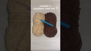 Famous crocheting a capybara 🤎 #amigurumi #crochet #diy #capybara Net Worth