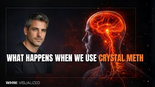 What Happens When You Take Crystal Meth: The Biological Takeover (Visualized)
