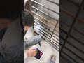 how to apply black paint
