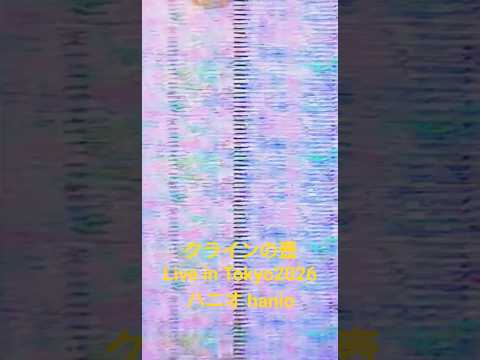 クラインの壺 LIVE in Tokyo2026 - ハニオ hanio #haniomusic
