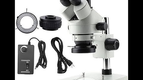 How to set a unified  focus on your Trinocular Microscope eyepiece & camera