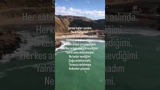 Sensiz Kışları Yazdım
