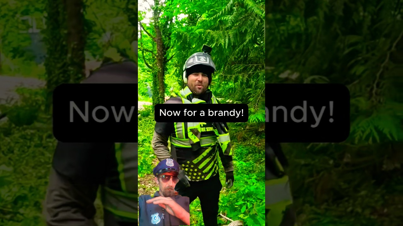 VIOLATION/ Destruction Of Property 