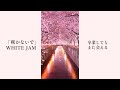 さよならじゃないから...  「咲かないで」WHITE JAM
