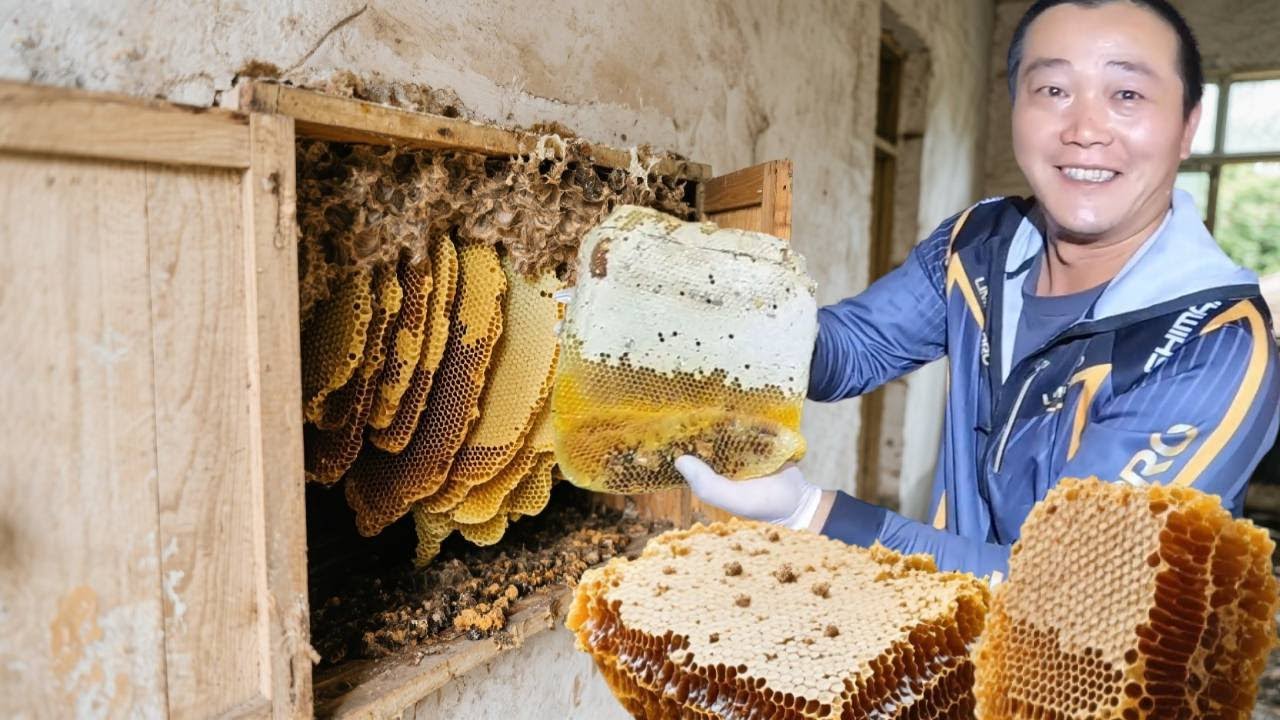 找到一窝衣柜蜜，没想到竟价值1000块，这下可值了！