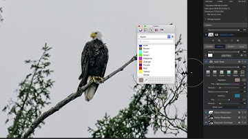 Editing Wildlife - ON1 Recorded Webinar