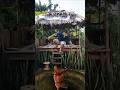running all size crabplane sirenhead car bus eater lighthouse team big city garr's mod ! choose 21