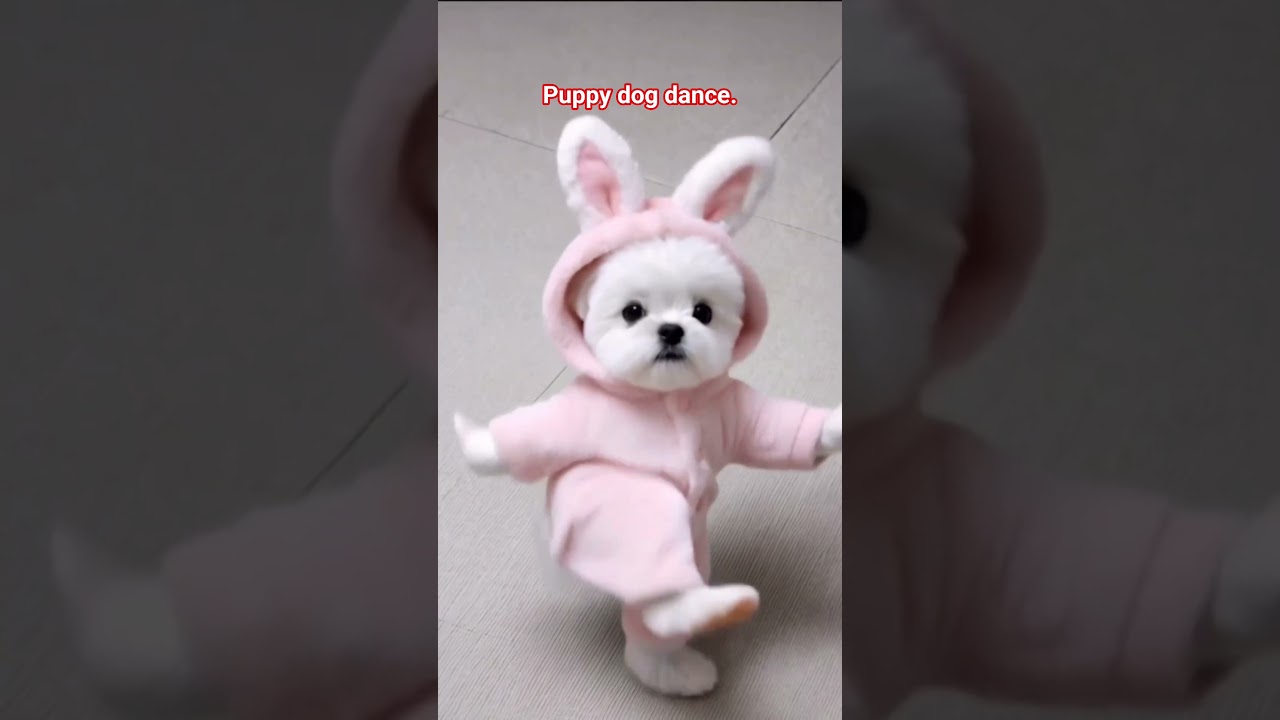 Puppy dog dance 