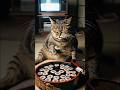 ボス猫の「ありがとう3,000人！おめでたい時はやっぱりこれ🎉お寿司」