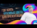 Где взять красивые цвета для презентаций в PowerPoint