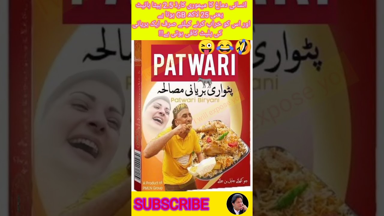 PMLN's patwari biryani 