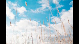 Add Love to Your Faith: Love as Commitment and Action