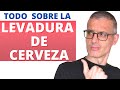 LEVADURA DE CERVEZA,  propiedades y beneficios. Cómo se toma la levadura de cerveza.