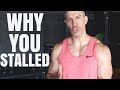 Why Fat Loss Stalled | Quick Explanation!