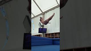 Springboard Diver Tries Gymnastics