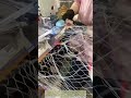 Satisfying Manufacturing: How Professional Fishing Nets Are Made!