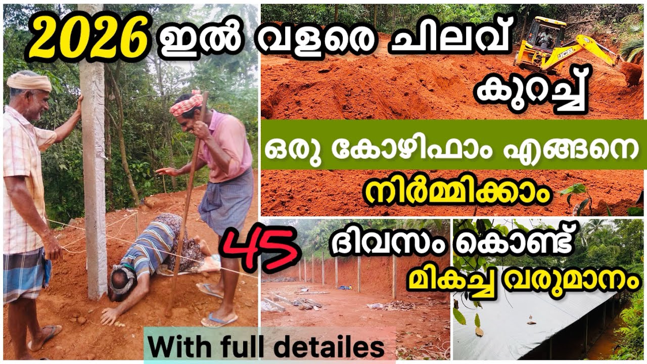2026 ഇൽ വളരെ ചിലവ് കുറച്ച് എങ്ങനെ ഒരു കോഴിഫാം നിർമ്മിക്കാം #youtubevideo #recommended 