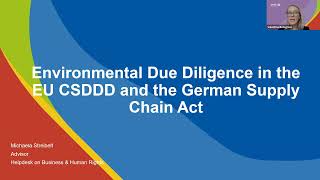 amfori Webinar Series ‘Due Diligence Laws in Practice’ #9