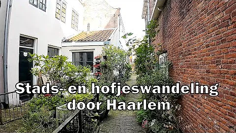 Wandelen | Stads- en hofjeswandeling | Haarlem | Noord-Holland