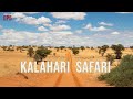 Kalahari Safari - Kgalagadi (Part 4 of 4) - EP5