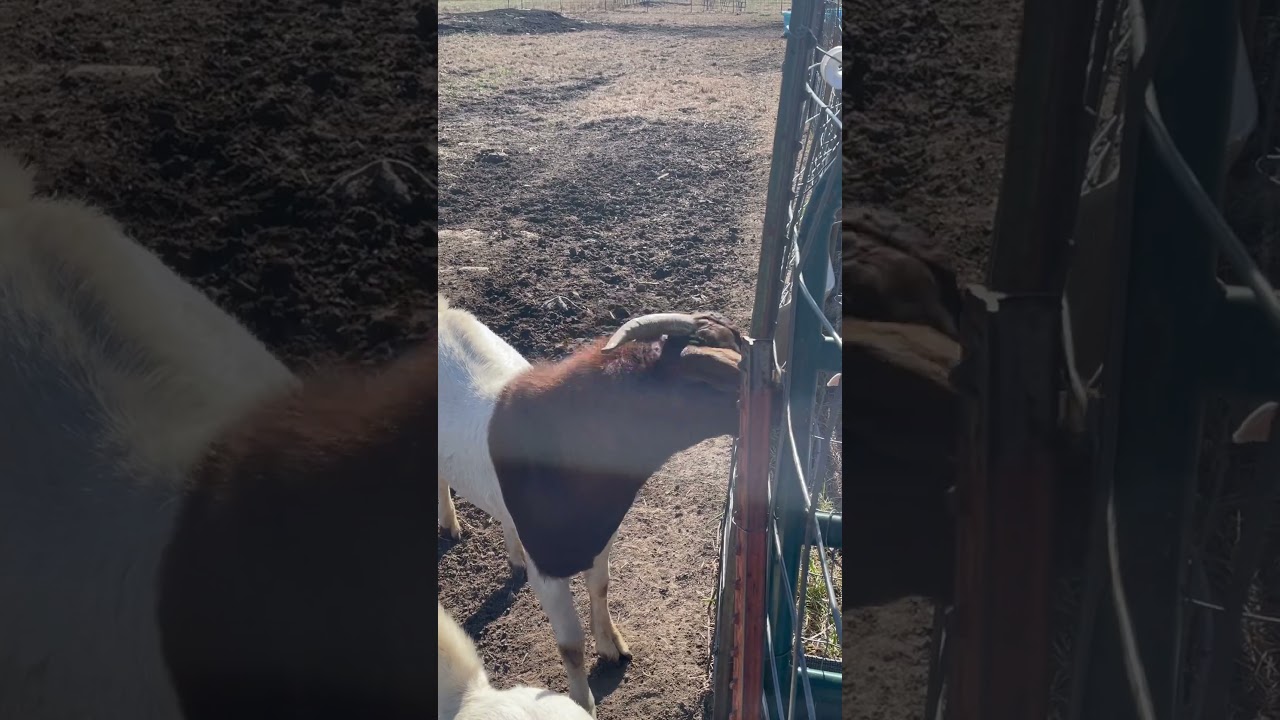 I think he is mad he can get in with them. 