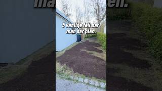 5 Vanlige Feil Når Du Sår Plen Unngå Dette For Å Få Perfekt Gress