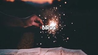 birds - thomas sanders ft dodie (cover audio)