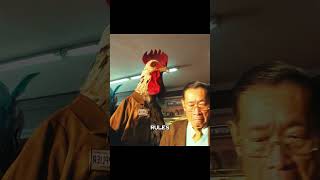 Movie Highlights Sharing movie film